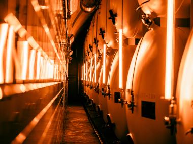 Eventdeco_astera lights_eventdeco