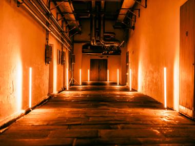 Eventdeco_astera lights_eventdeco