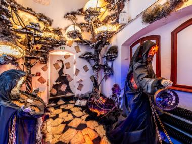 Eventdeco_expozice_Cesky Krumlov_Hvozd