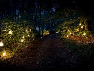 Běhej lesy_eventdeco_světelné dekorace
