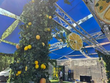 Eventdeco-BIRELL ZÓNY- DEKORACE-LETNÍ FESTIVALY