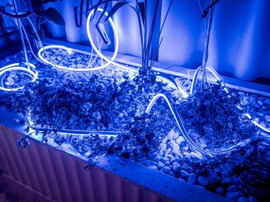 AutTalk_eventdeco_dekorace prostoru