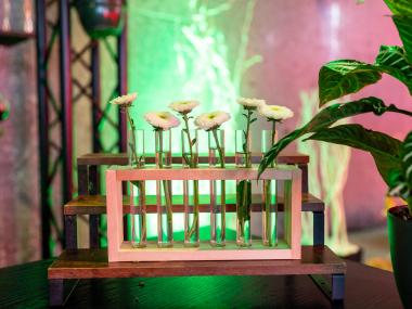 Eventdeco-wellness zona-kcp-realizace
